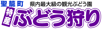 県内最大級の観光ぶどう園 聖籠町特産特産 ぶどう狩り