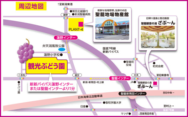 交通のご案内