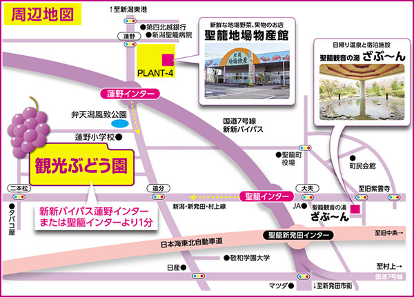 交通のご案内