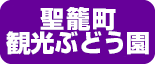 聖籠町観光ぶどう園